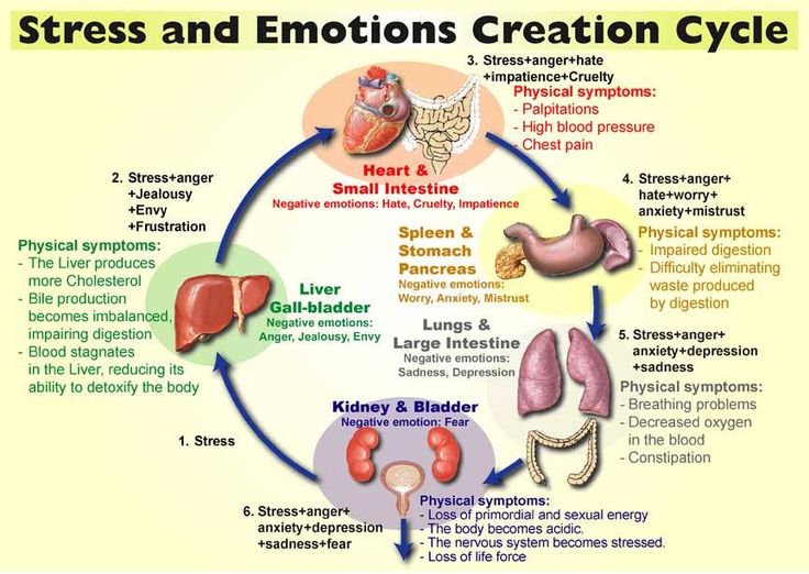 TCM chart of emotions and their effects on body organs and health. 