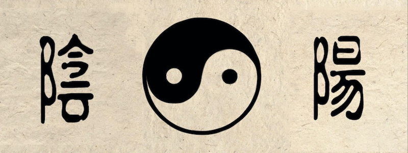 Yin Yang in Traditional Chinese Medicine