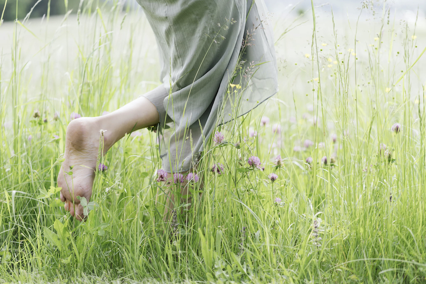 Walking barefoot on the earth, known as grounding, assists the body in neutralising free radicals, thus reducing and avoiding damage to organs, tissues and cells. 