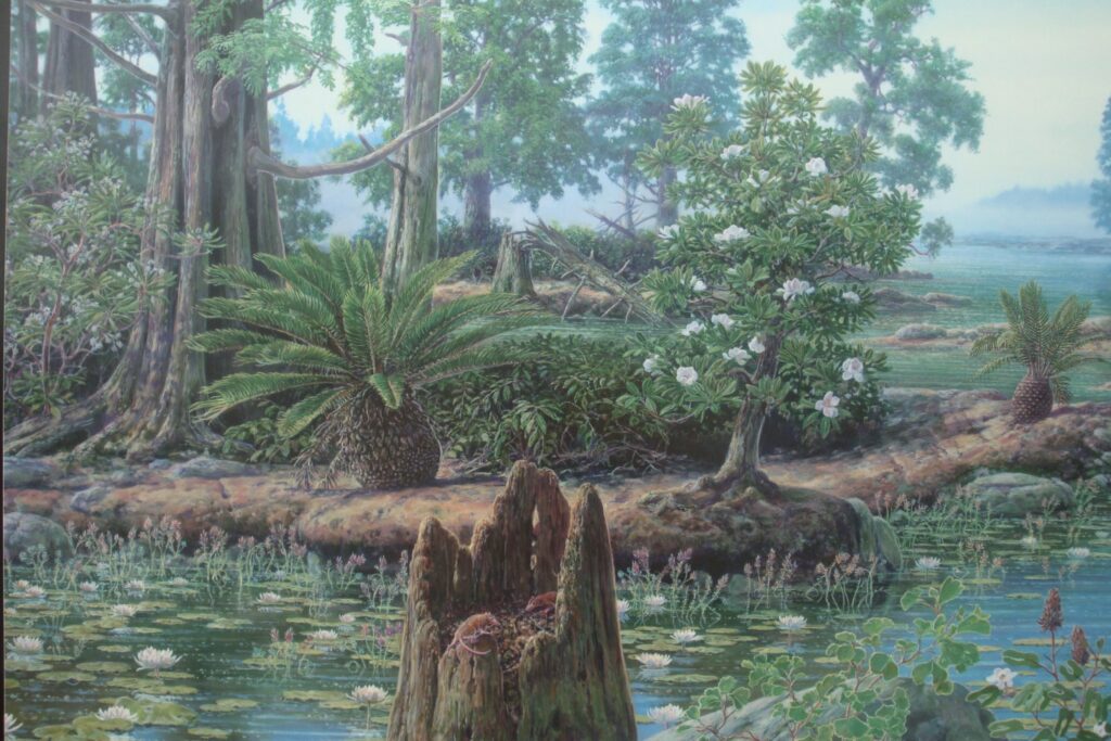 Artists drawing of the plant life typical of the Cretaceous period. 