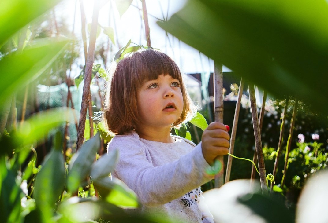 A child exploring nature in a vegetable garden.