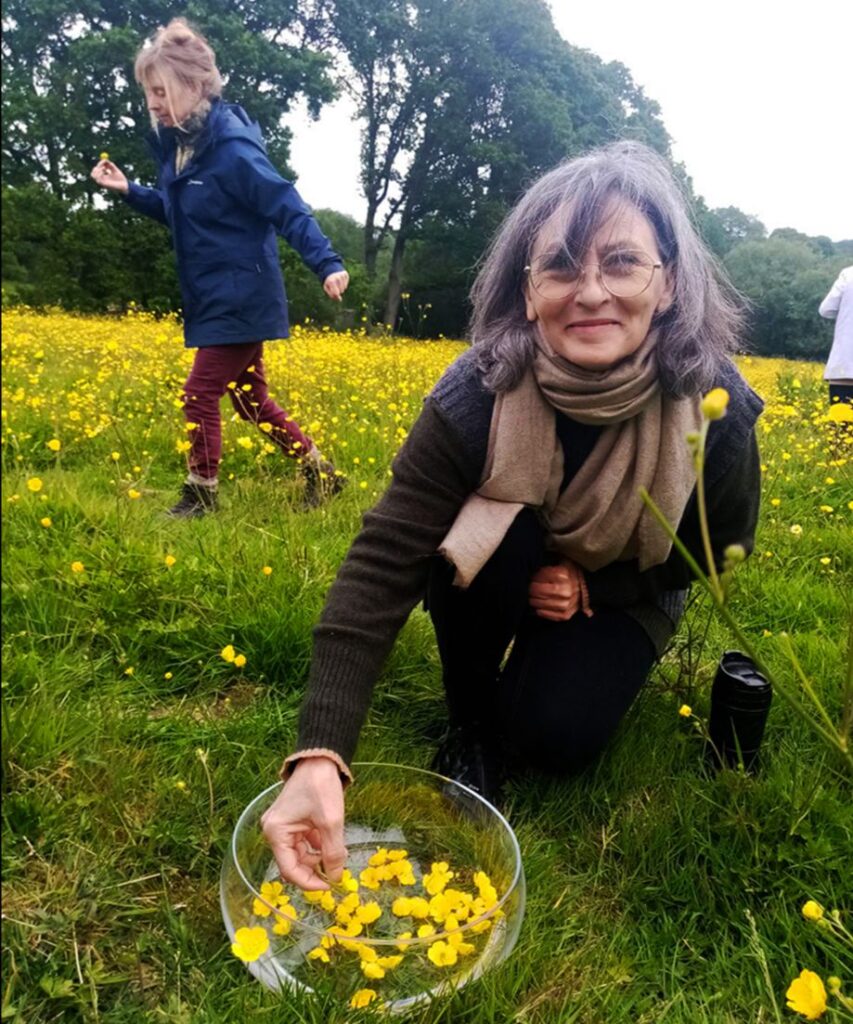 Bonny Casel teaching students how to make a buttercup flower essence at School of Natural Medicine UK. 